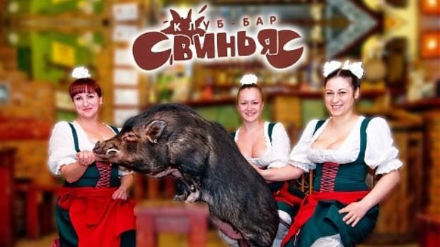 ХК "Донбасс" рекомендует: хоккей в баре "Свинья"